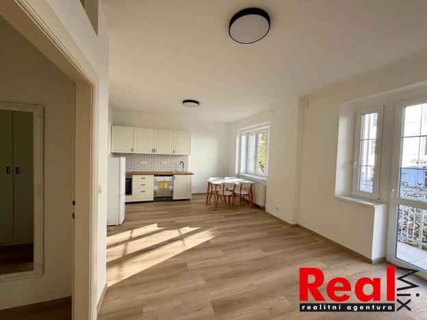 Pronájem bytu 2+kk, Brno - Veveří, Sušilova, 59 m2