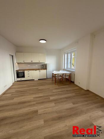 Pronájem bytu 2+kk, Brno - Veveří, Sušilova, 59 m2