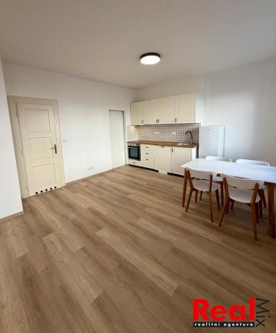 Pronájem bytu 2+kk, Brno - Veveří, Sušilova, 59 m2
