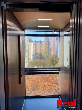 Pronájem bytu 2+kk, Brno - Veveří, Sušilova, 59 m2