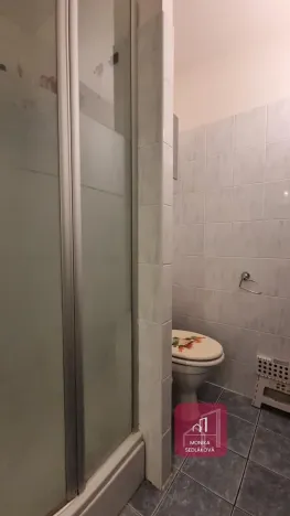 Prodej bytu 2+kk, Brno, třída Generála Píky, 45 m2