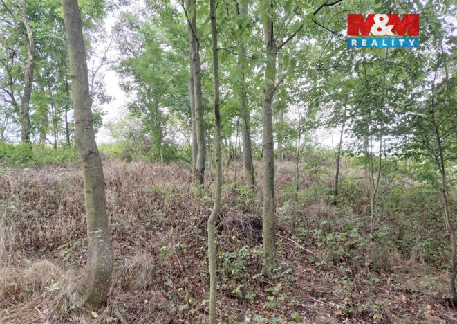 Prodej pole, Bystřice, 163 m2