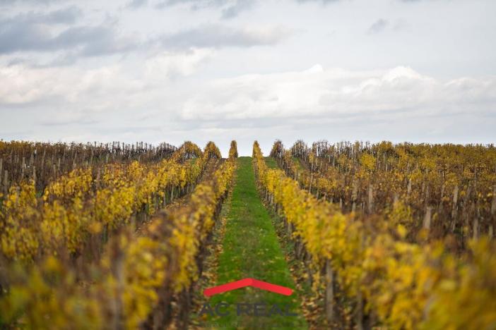 Prodej apartmánu, Strachotín, Šakvická, 33 m2