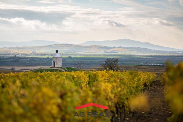 Prodej apartmánu, Strachotín, Šakvická, 33 m2