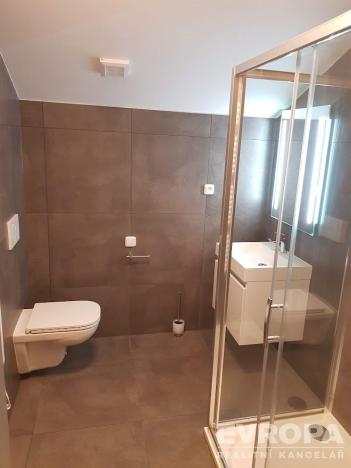 Pronájem ubytování, Liberec - Liberec III-Jeřáb, Nákladní, 313 m2