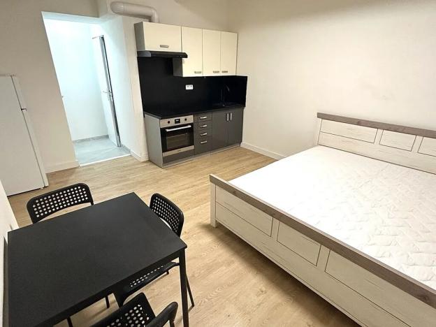 Pronájem bytu 1+kk, Praha - Nusle, Na bitevní pláni, 25 m2