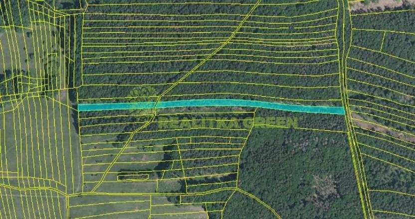 Prodej lesa, Hřivínův Újezd, 11067 m2