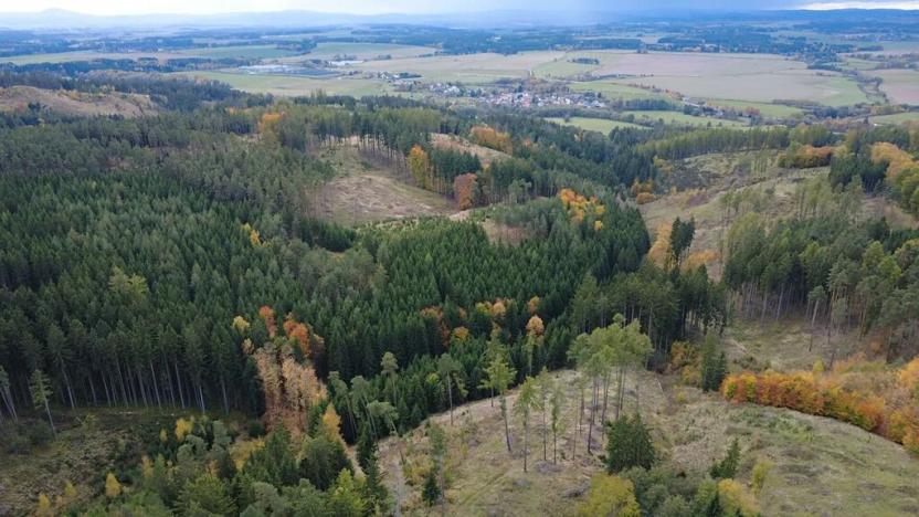 Prodej pozemku pro bydlení, Planá, 391 m2