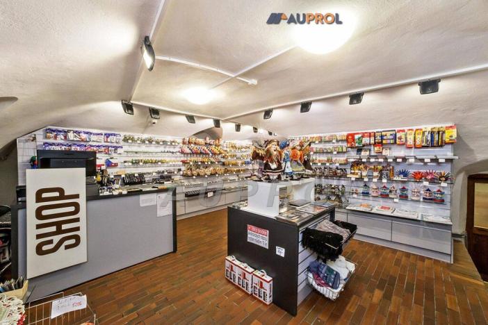 Prodej ubytování, Český Krumlov - Vnitřní Město, Široká, 400 m2