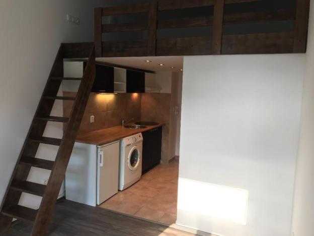 Pronájem bytu 1+kk, Praha - Vysočany, Freyova, 25 m2