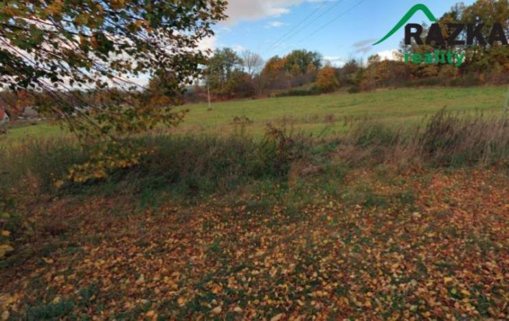 Prodej pozemku pro bydlení, Nalžovské Hory, 14996 m2