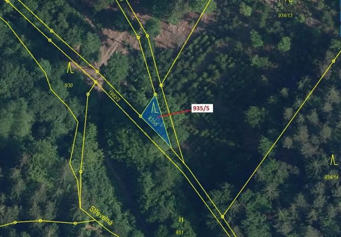 Dražba lesa, Jílové u Držkova, 88 m2