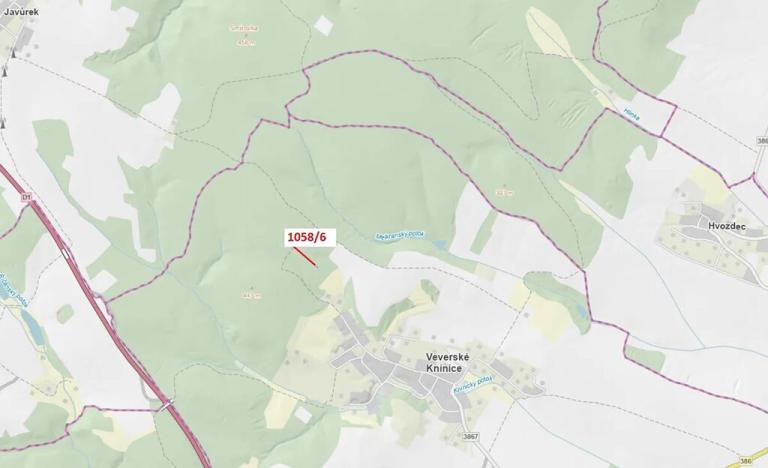 Dražba lesa, Veverské Knínice, 77 m2