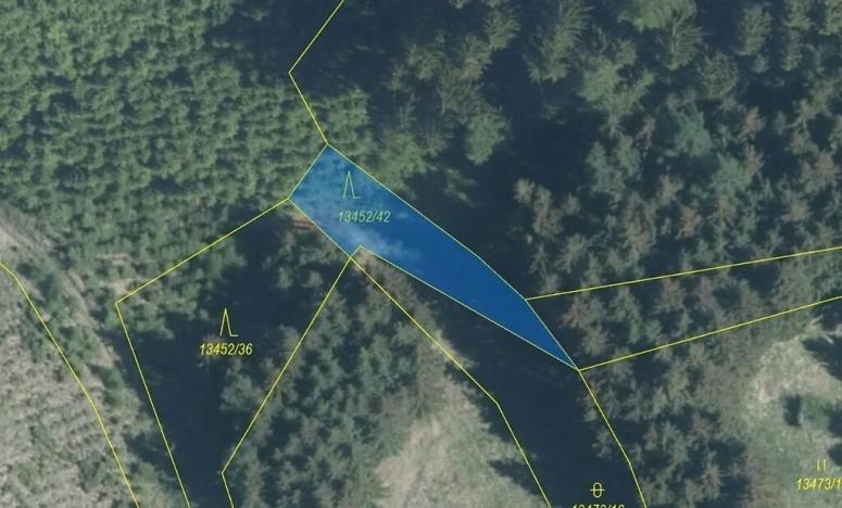 Dražba lesa, Hovězí, 335 m2