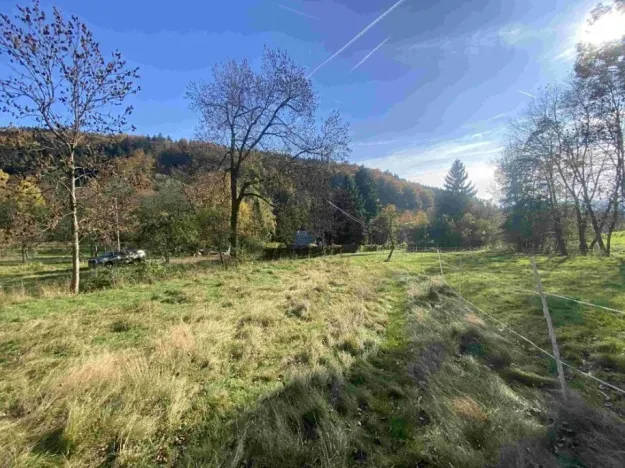 Dražba louky, Zdislava, 1384 m2