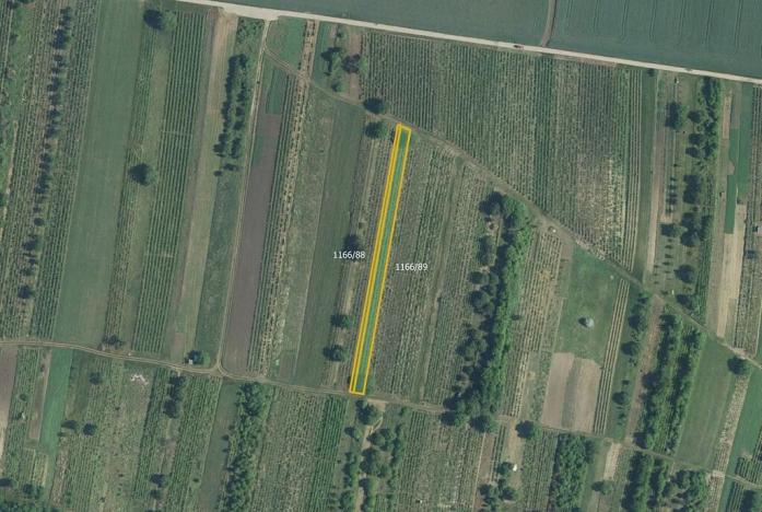 Prodej pole, Brumovice, 5714 m2