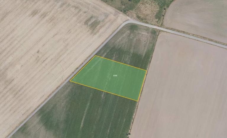 Prodej pole, Čachovice, 10046 m2