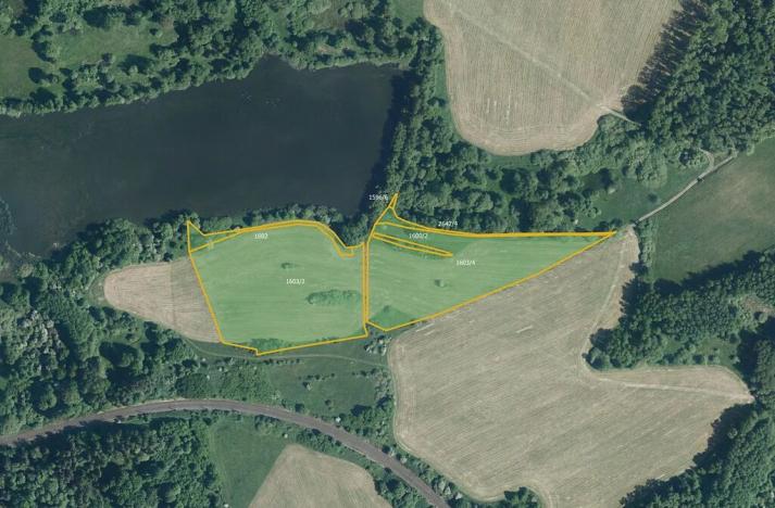 Prodej louky, Ostrov, 28839 m2