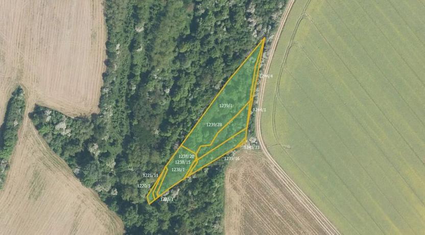 Prodej pole, Kudlovice, 6546 m2