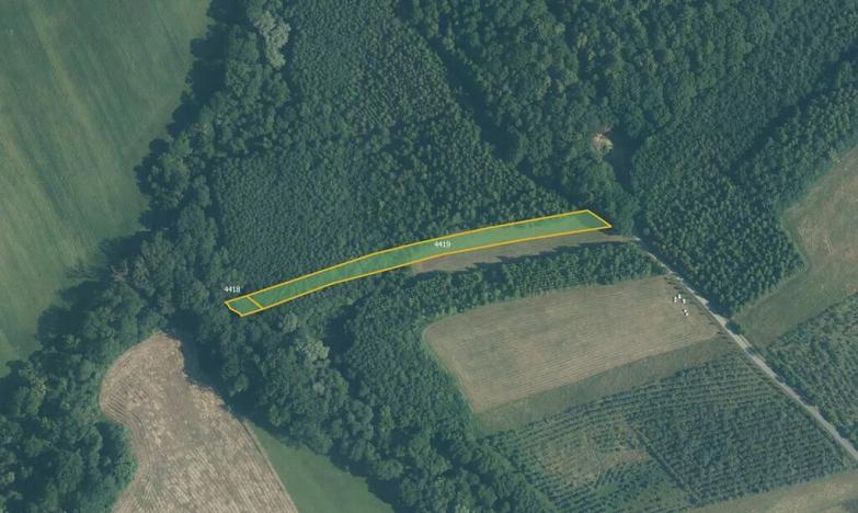 Prodej pole, Police, 17728 m2