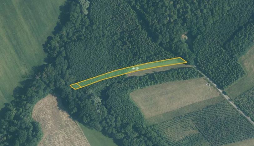 Prodej pole, Police, 43622 m2