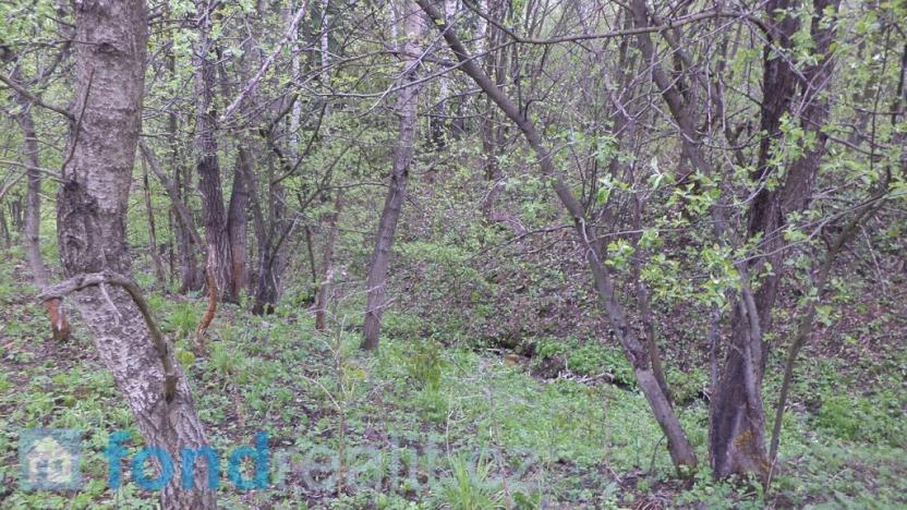 Prodej pozemku, Mosty u Jablunkova, 8296 m2