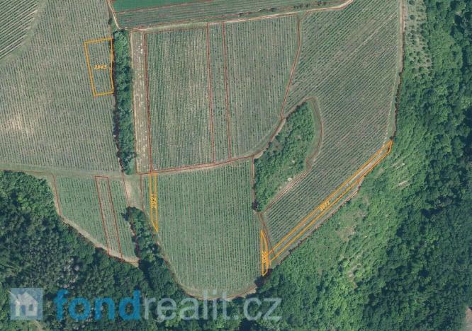 Prodej pozemku, Újezdec, 7374 m2