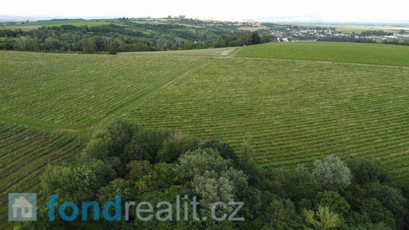 Prodej pozemku, Ořechov, 27055 m2