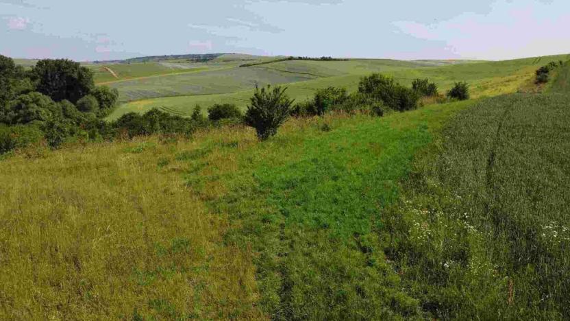 Prodej pole, Bučovice, 3134 m2