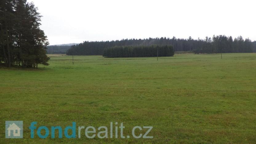 Prodej pozemku, Nová Bystřice, 10628 m2