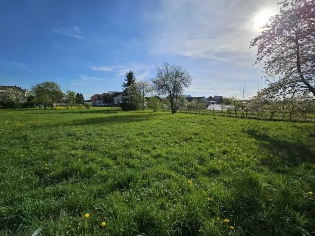 Prodej pozemku pro bydlení, Uničov, 1185 m2