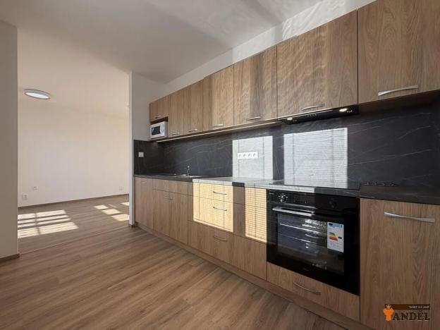 Pronájem bytu 2+1, Havířov, Dělnická, 48 m2