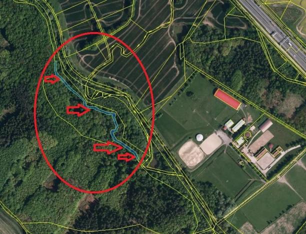 Prodej podílu lesa, Staříč, 16254 m2