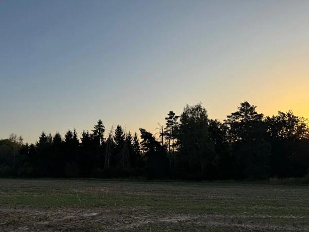 Prodej lesa, Horní Bukovina, 2690 m2