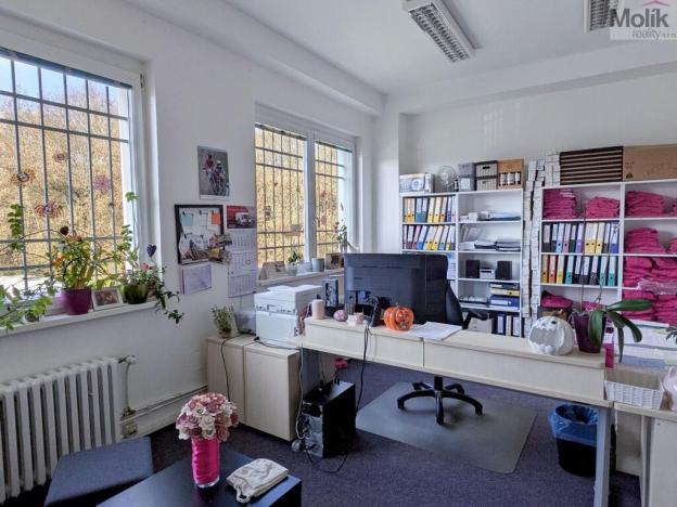 Pronájem kanceláře, Teplice, Novosedlická, 36 m2