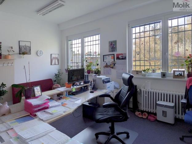 Pronájem kanceláře, Teplice, Novosedlická, 36 m2