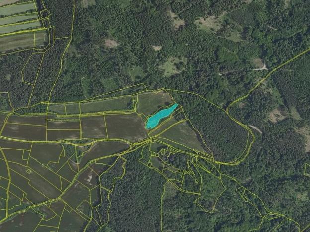 Prodej lesa, Kozárovice, 40085 m2