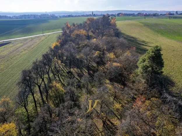 Prodej pozemku pro bydlení, Budětsko, 13897 m2