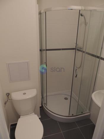 Pronájem bytu 1+kk, Ostrava - Mariánské Hory, Slavníkovců, 22 m2