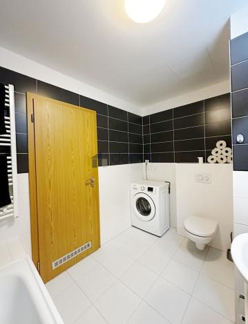 Pronájem bytu 1+kk, Praha, Březenská, 66 m2