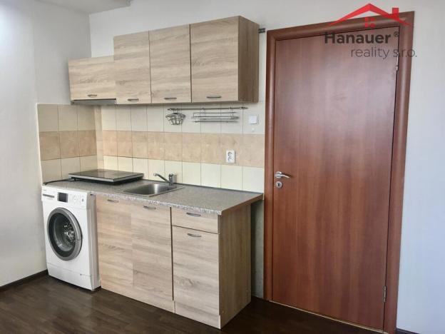 Pronájem bytu 1+kk, Ústí nad Labem - Krásné Březno, Rozcestí, 26 m2