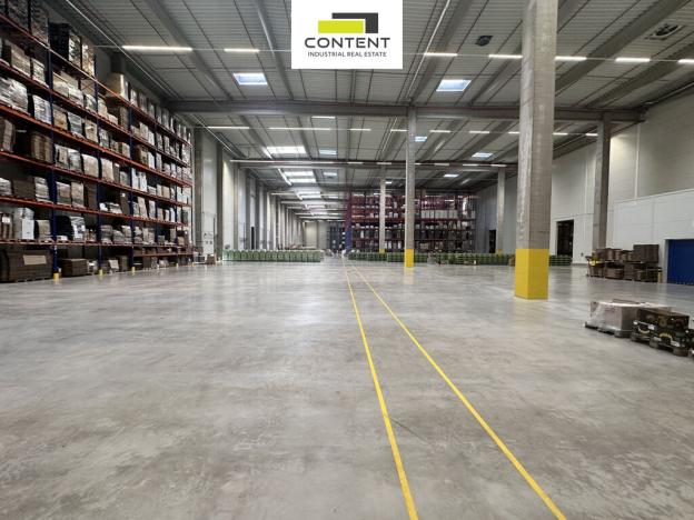 Pronájem výrobních prostor, Hradec Králové - Plotiště nad Labem, Náchodská, 7018 m2