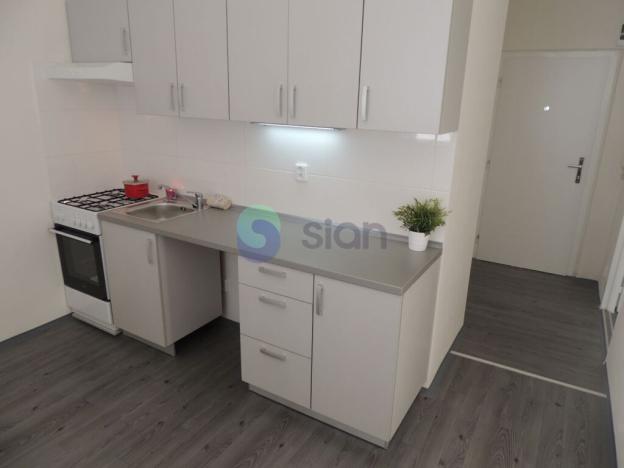 Pronájem bytu 1+1, Ostrava - Moravská Ostrava, Hornopolní, 34 m2