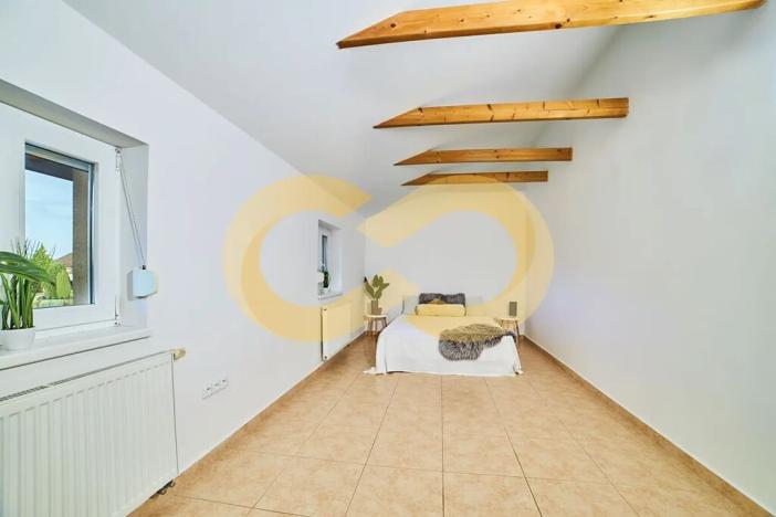 Prodej atypického bytu, Planá nad Lužnicí, Harrachova, 150 m2