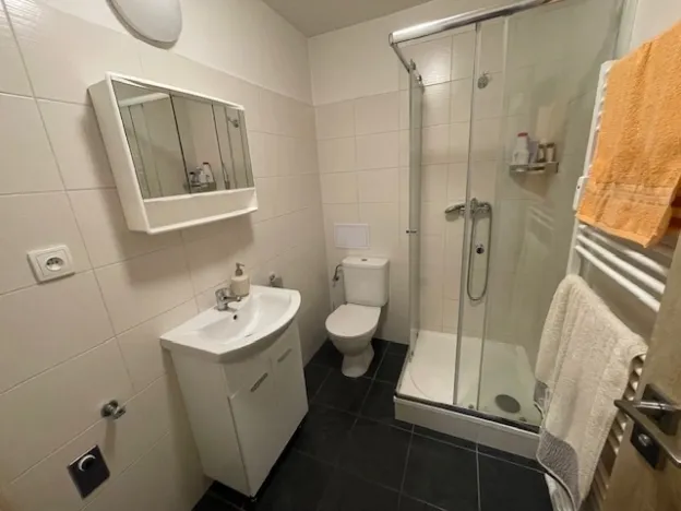 Pronájem bytu 1+kk, Zábřeh, Valová, 25 m2