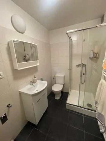 Pronájem bytu 1+kk, Zábřeh, Valová, 25 m2