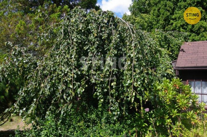 Prodej chaty, Havířov - Prostřední Suchá, 11 m2