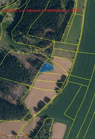 Prodej lesa, Pelhřimov, 1222 m2