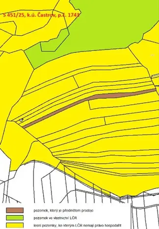 Prodej lesa, Častrov, 5341 m2