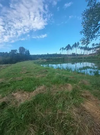 Pronájem rybníku, Komárovice, 9025 m2